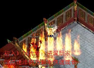 1.76棺ָԽֿٳɳ