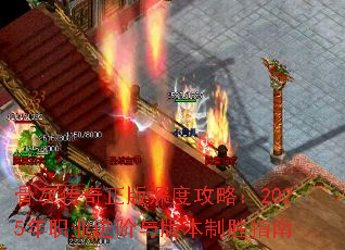 ǻҴȹԣ2025ְҵ汾ʤָ