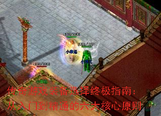 Ϸװѡռָϣŵͨԭ
