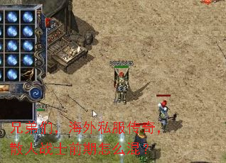 ֵǣ˽棬ɢսʿǰô죿